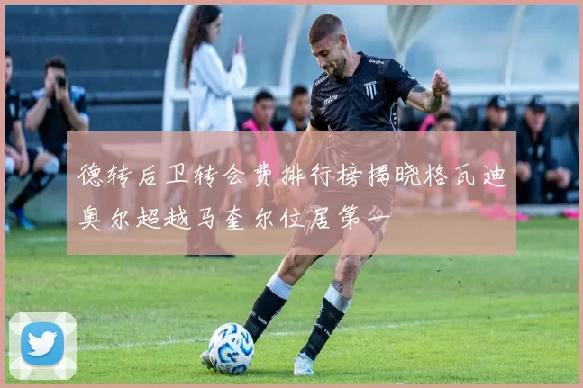 德转后卫转会费排行榜揭晓格瓦迪奥尔超越马奎尔位居第一